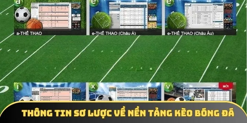 Thông tin sơ lược về nền tảng Kèo Bóng Đá
