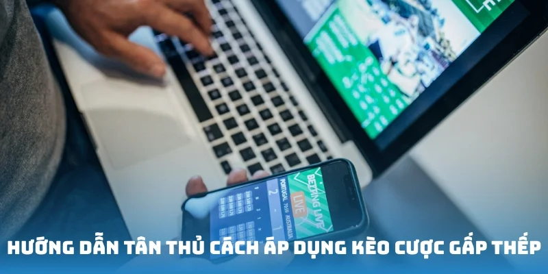 Hướng dẫn tân thủ cách áp dụng kèo cược gấp thếp hiệu quả