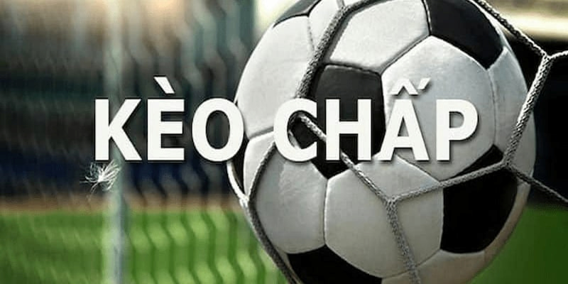 Kèo chấp nửa trái là gì